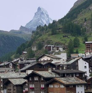 Meet your Posher, Esme